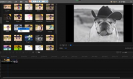 短视频剪辑软件排行榜,热门工具盘点，助你轻松创作精彩短视频